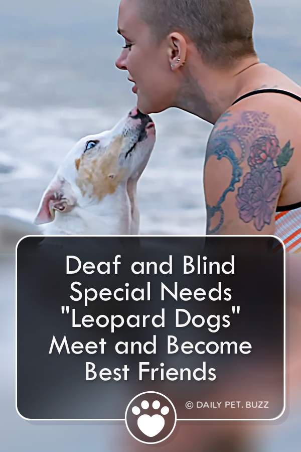Deaf and Blind Special Needs \