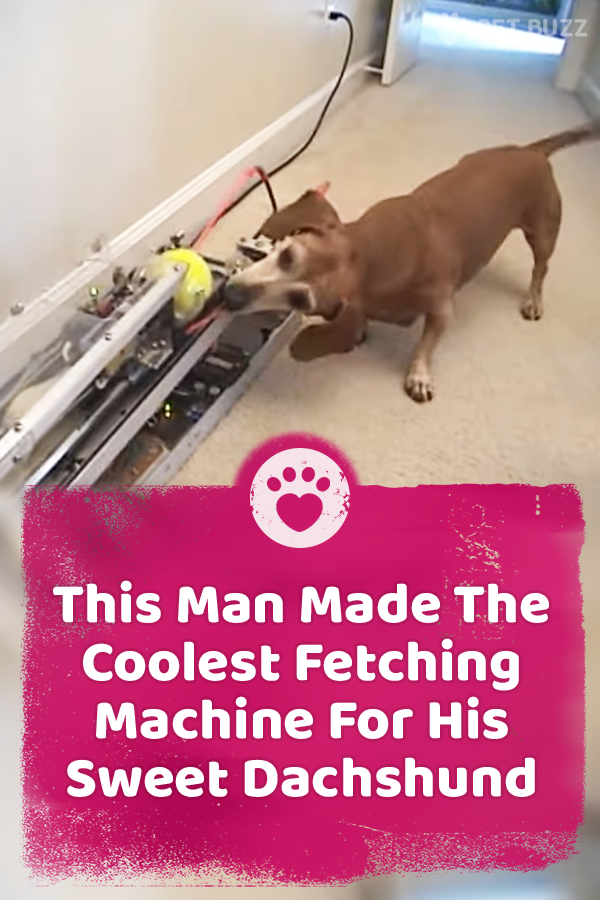 This Man Made The Coolest Fetching Machine For His Sweet Dachshund
