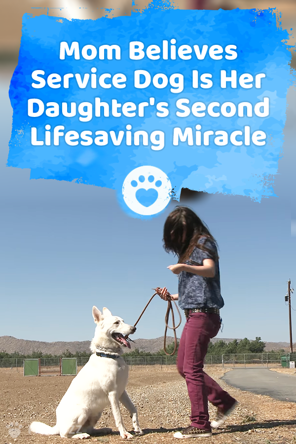 Mom Believes Service Dog Is Her Daughter\'s Second Lifesaving Miracle