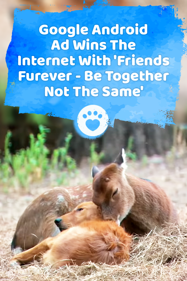Google Android Ad Wins The Internet With \'Friends Furever - Be Together Not The Same\'