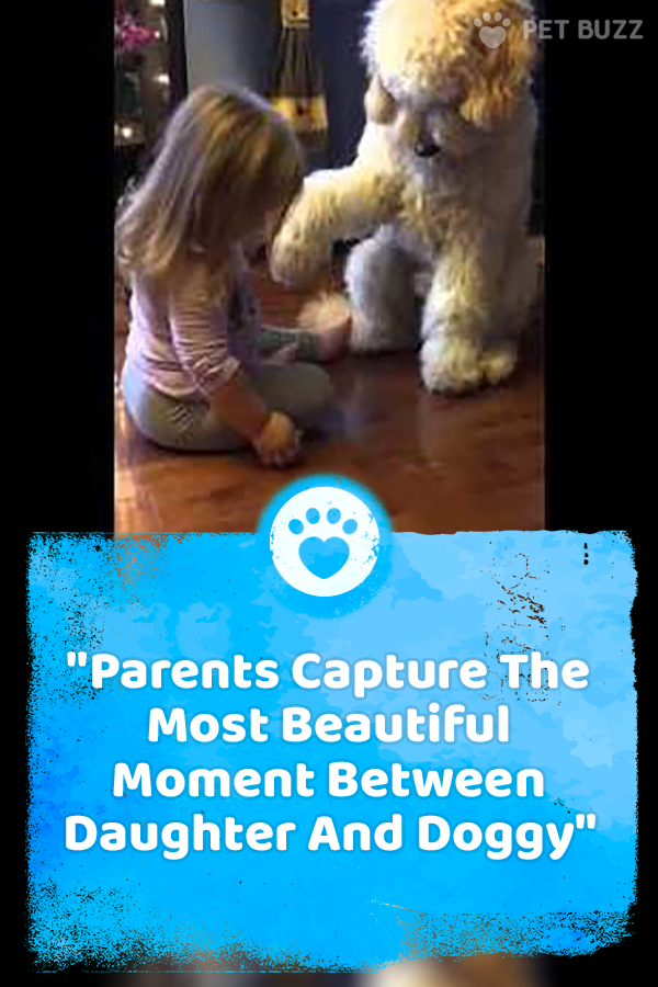 Parents Capture The Most Beautiful Moment Between Daughter And Doggy