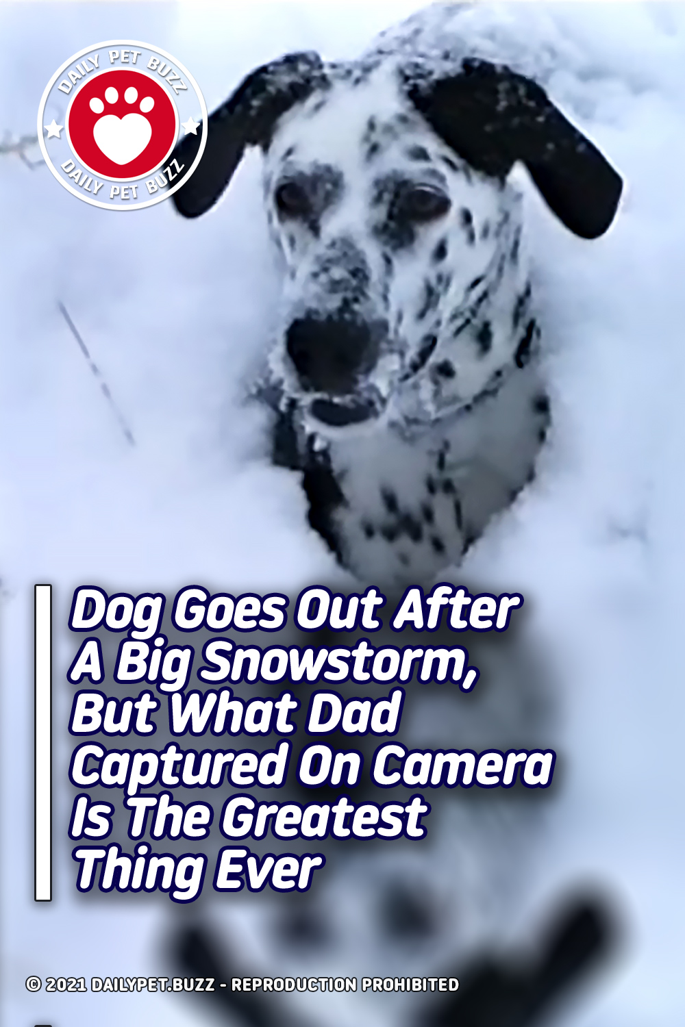 Dog Goes Out After A Big Snowstorm, But What Dad Captured On Camera Is The Greatest Thing Ever