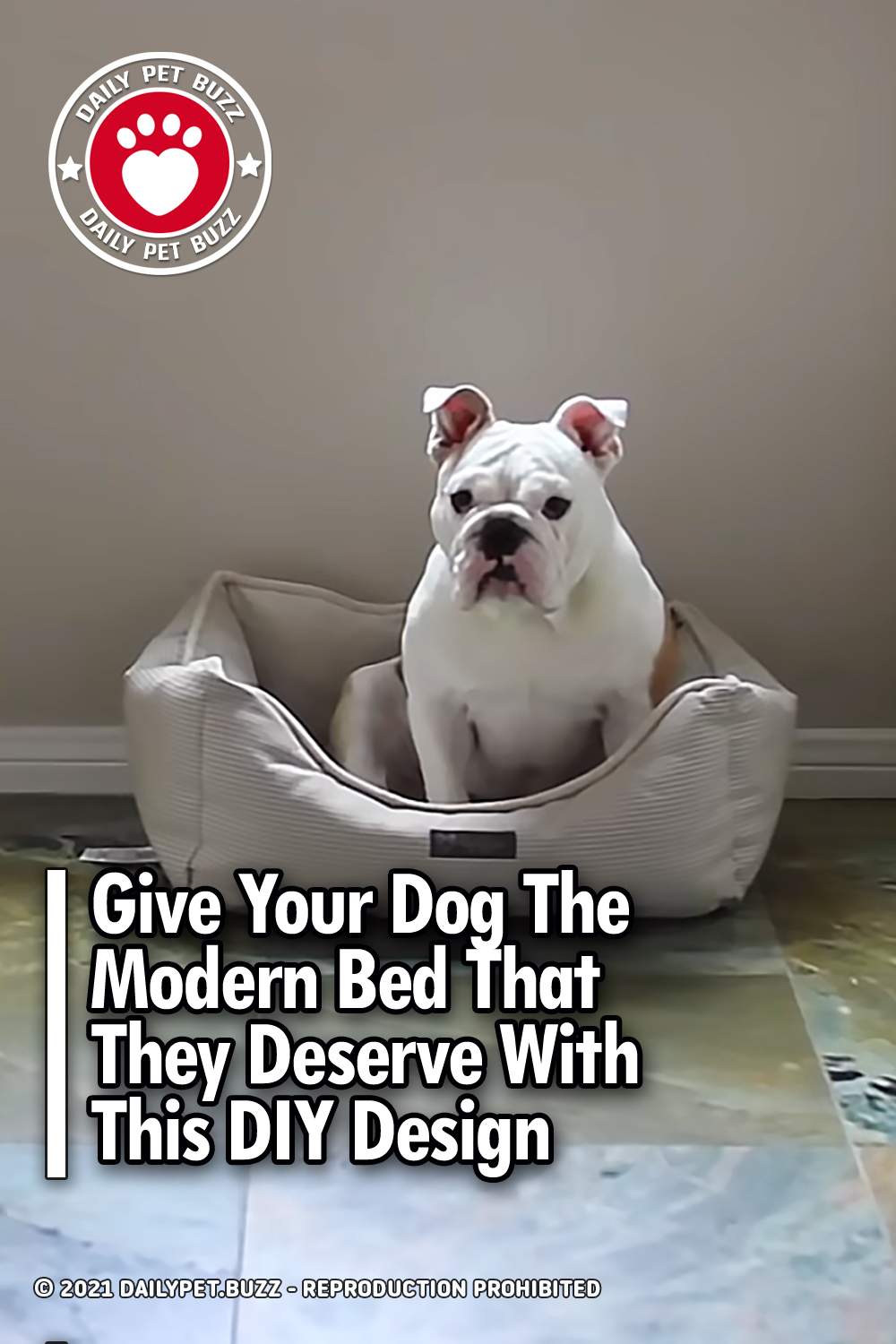 Give Your Dog The Modern Bed That They Deserve With This DIY Design