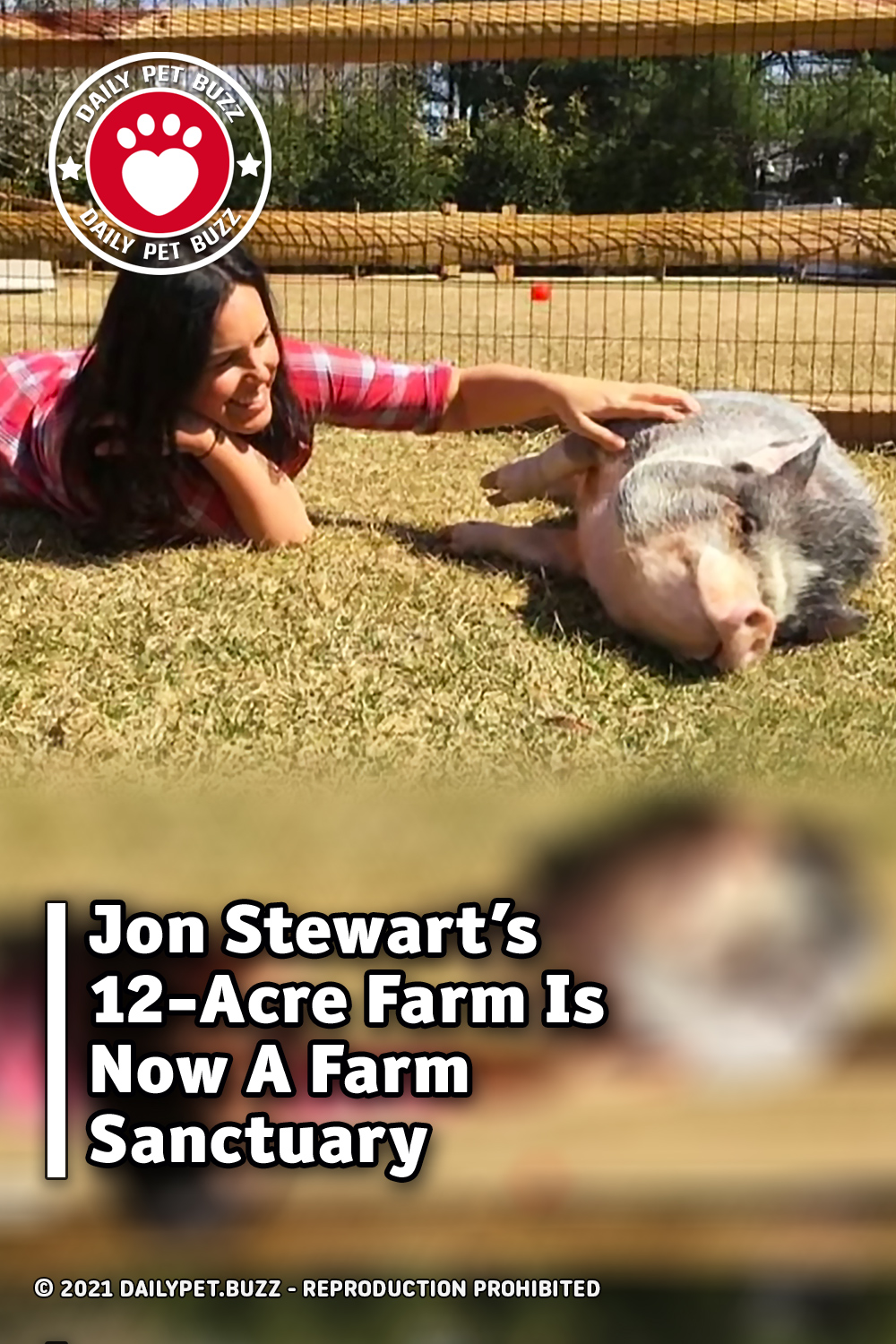 Jon Stewart’s 12-Acre Farm Is Now A Farm Sanctuary