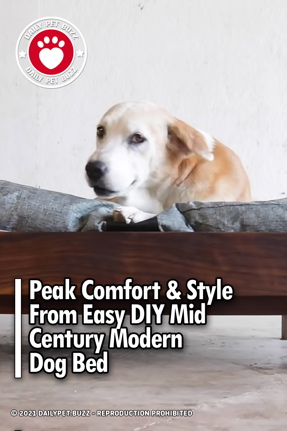 Peak Comfort & Style From Easy DIY Mid Century Modern Dog Bed
