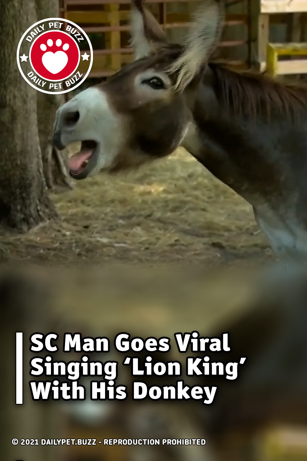 SC Man Goes Viral Singing ‘Lion King’ With His Donkey