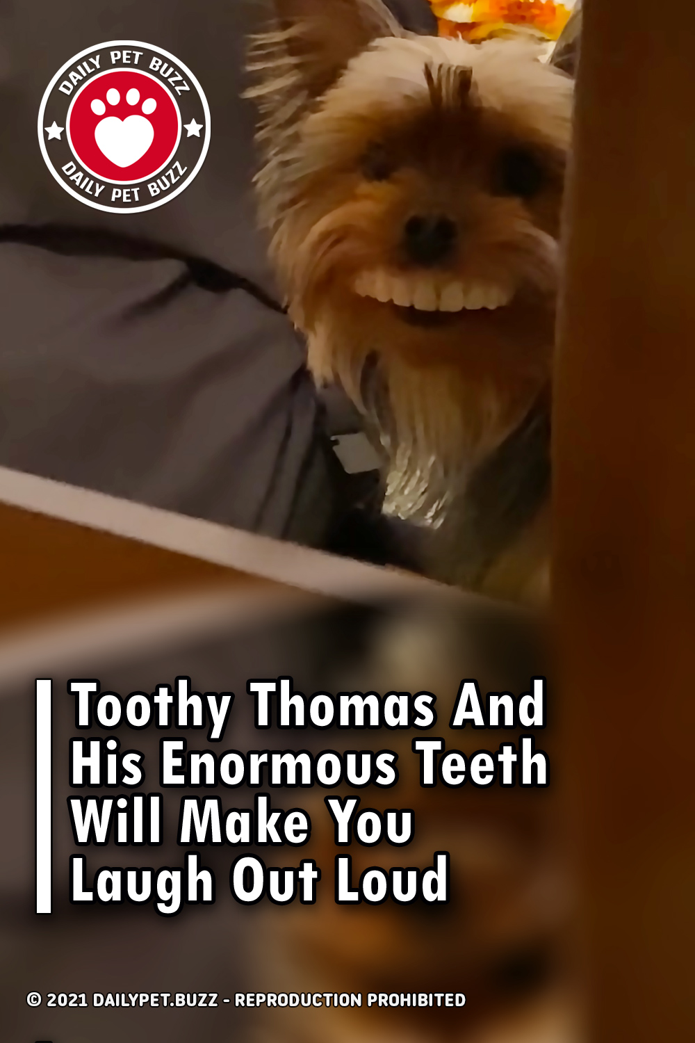 Toothy Thomas And His Enormous Teeth Will Make You Laugh Out Loud