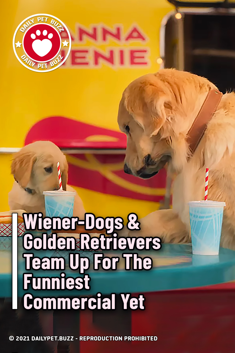 Wiener-Dogs & Golden Retrievers Team Up For The Funniest Commercial Yet