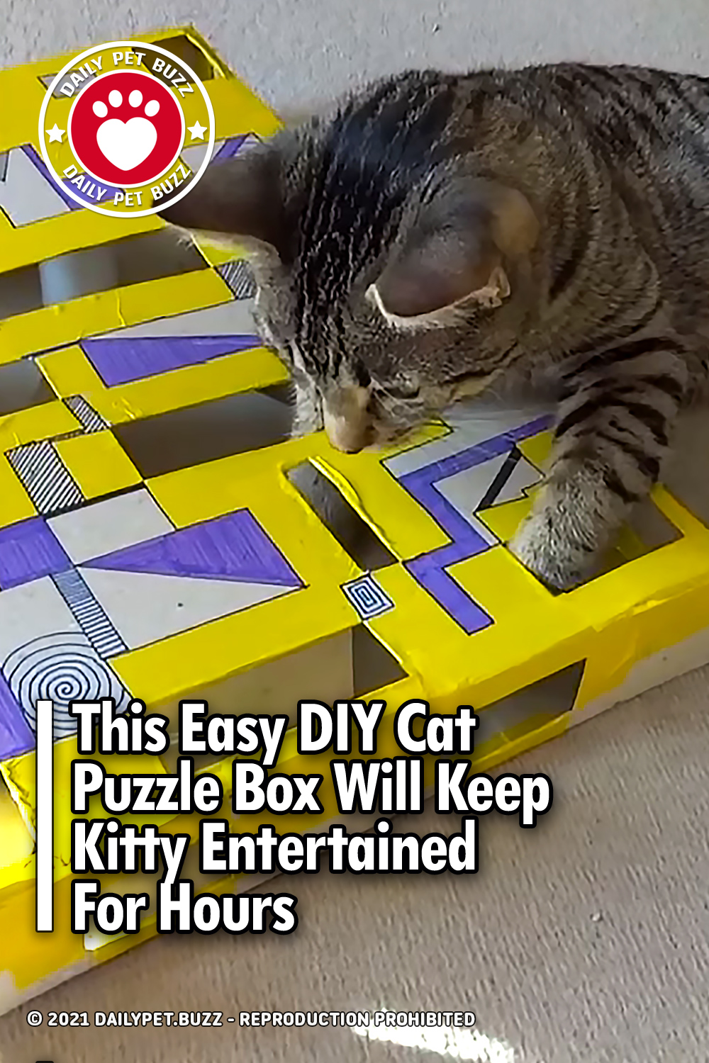 This Easy DIY Cat Puzzle Box Will Keep Kitty Entertained For Hours