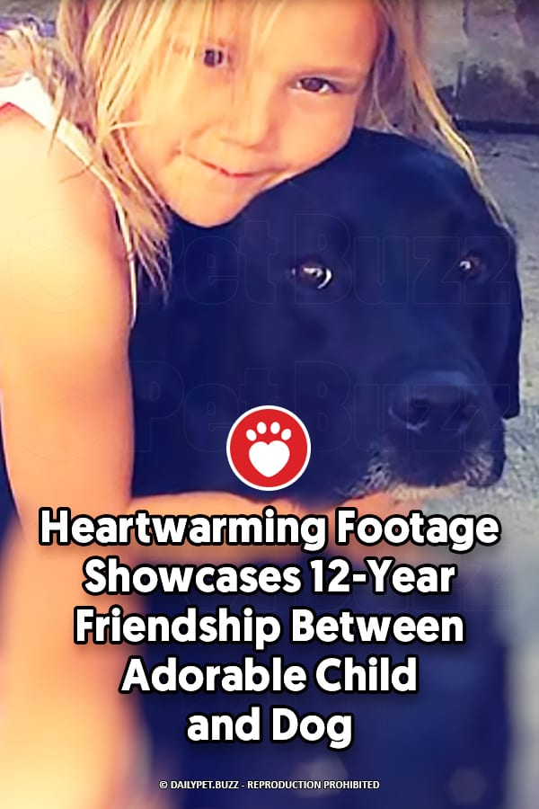 Heartwarming Footage Showcases 12-Year Friendship Between Adorable Child and Dog