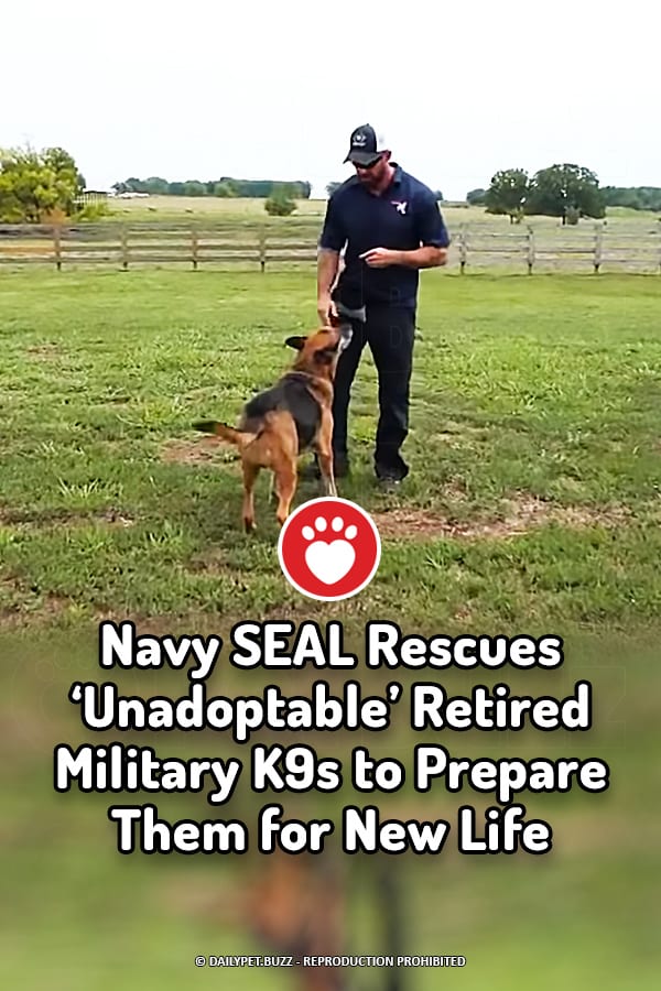 Navy SEAL Rescues ‘Unadoptable’ Retired Military K9s to Prepare Them for New Life