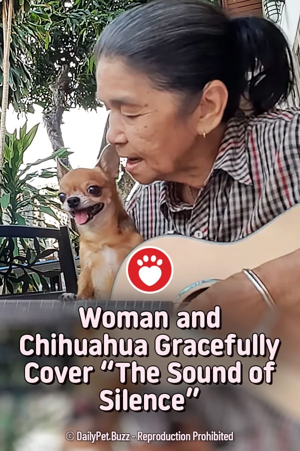 Woman and Chihuahua Gracefully Cover “The Sound of Silence”