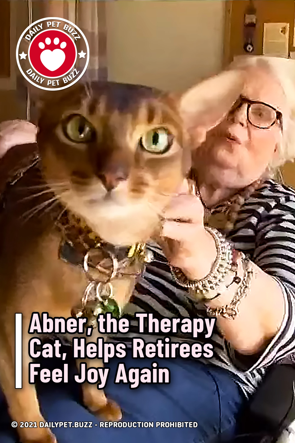Abner, the Therapy Cat, Helps Retirees Feel Joy Again