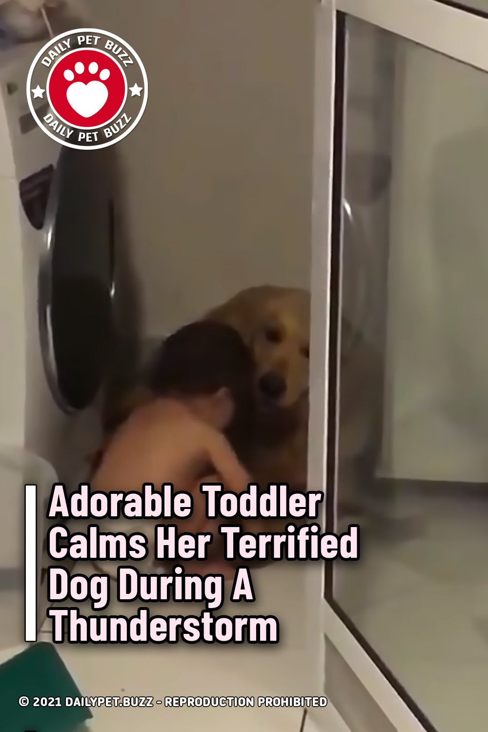 Adorable Toddler Calms Her Terrified Dog During A Thunderstorm
