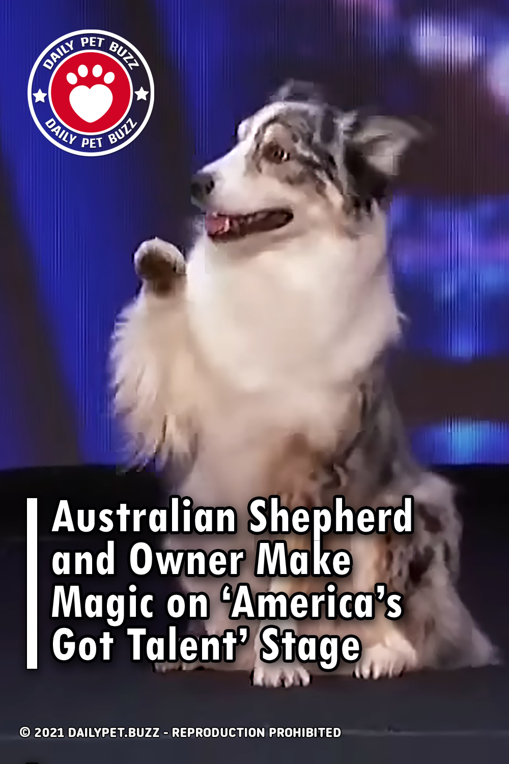 Australian Shepherd and Owner Make Magic on ‘America’s Got Talent’ Stage