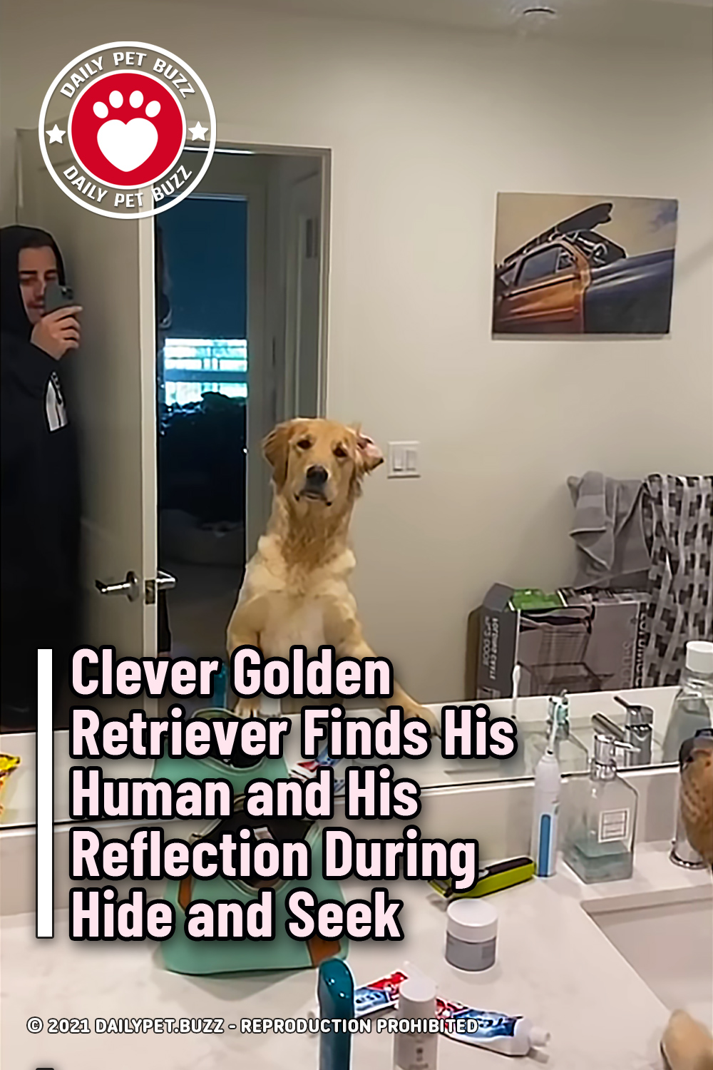 Clever Golden Retriever Finds His Human and His Reflection During Hide and Seek