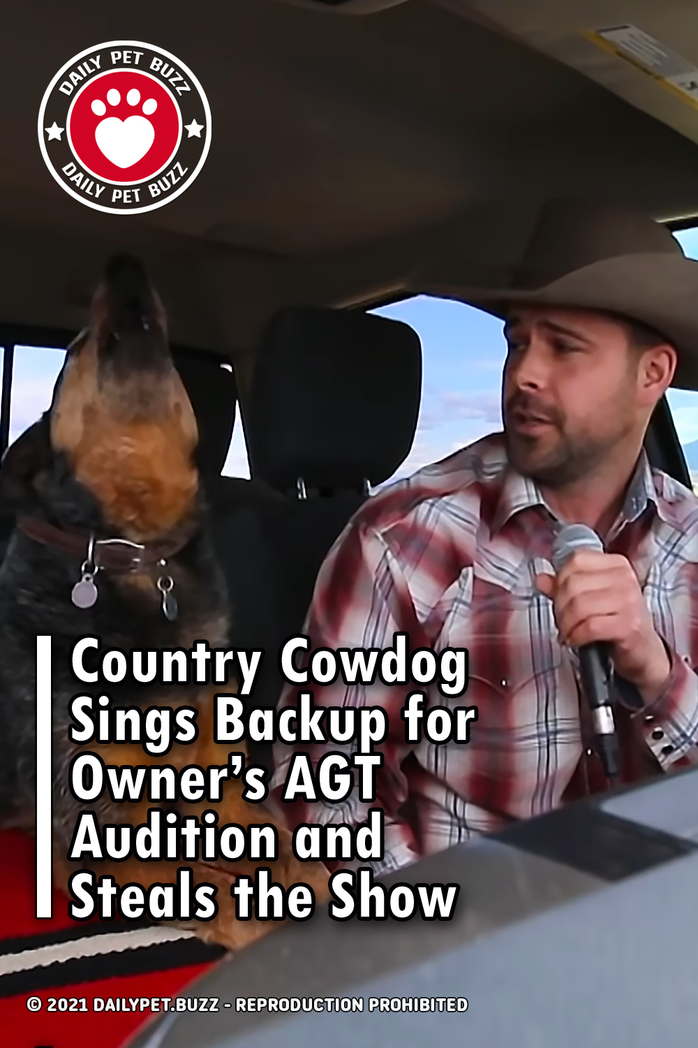 Country Cowdog Sings Backup for Owner’s AGT Audition and Steals the Show