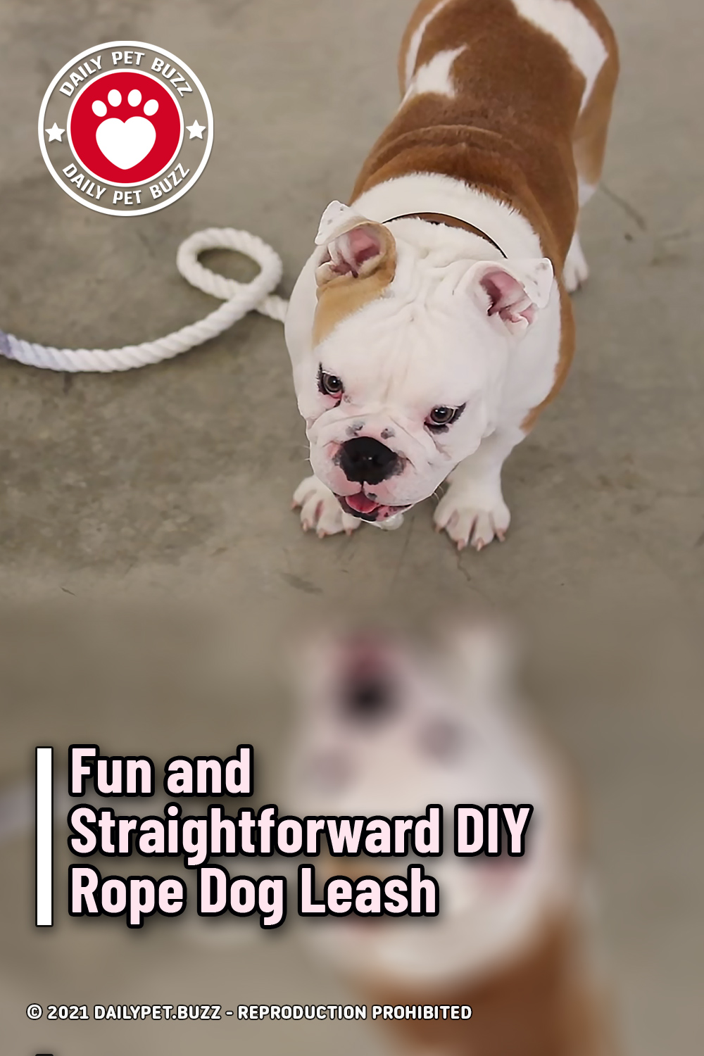 Fun and Straightforward DIY Rope Dog Leash