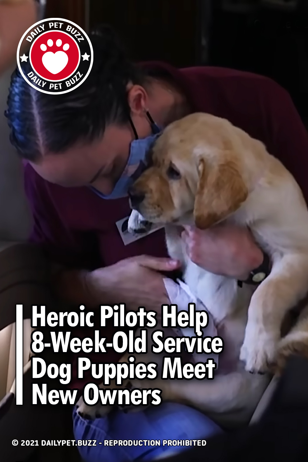 Heroic Pilots Help 8-Week-Old Service Dog Puppies Meet New Owners