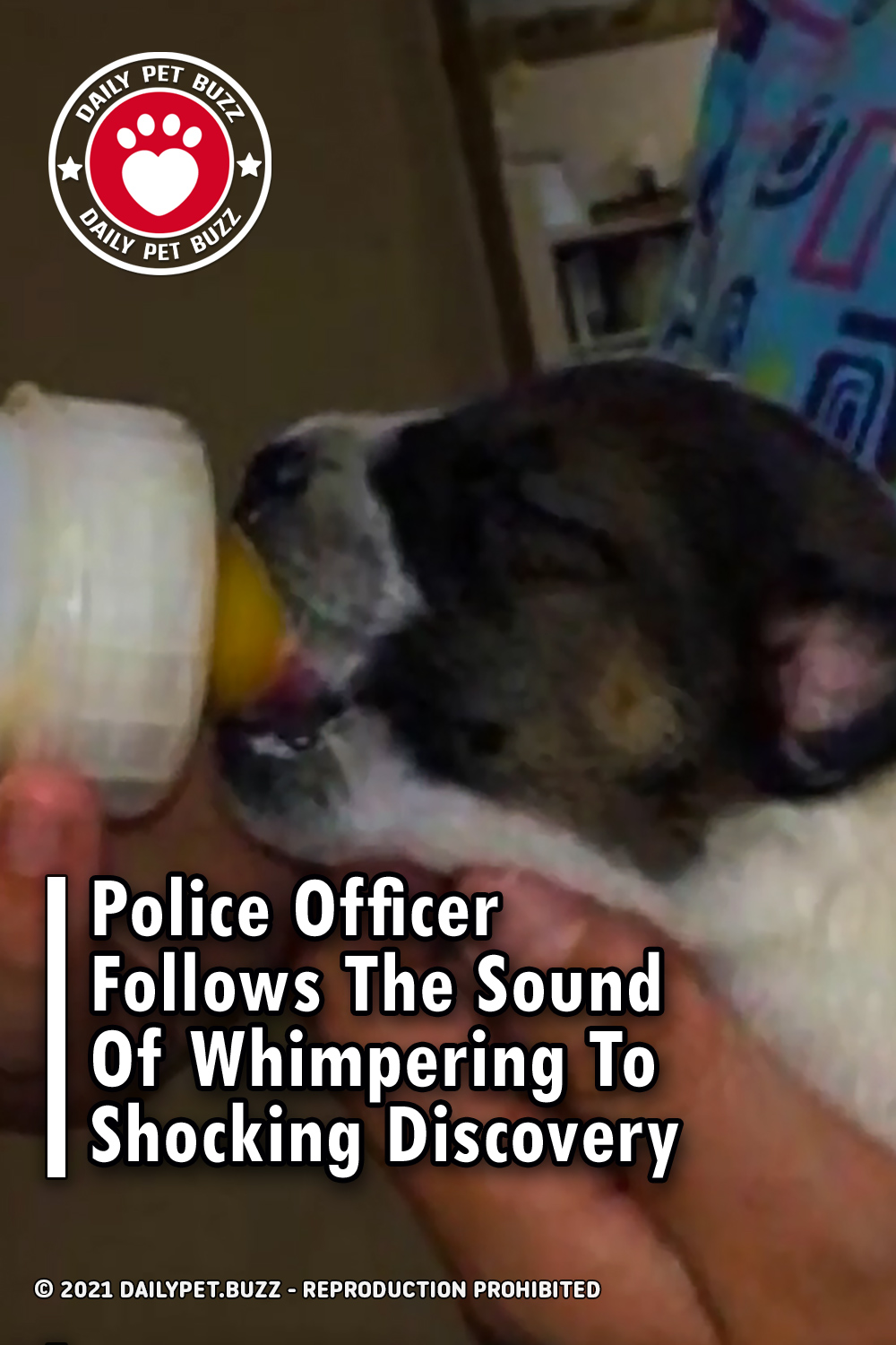 Police Officer Follows The Sound Of Whimpering To Shocking Discovery