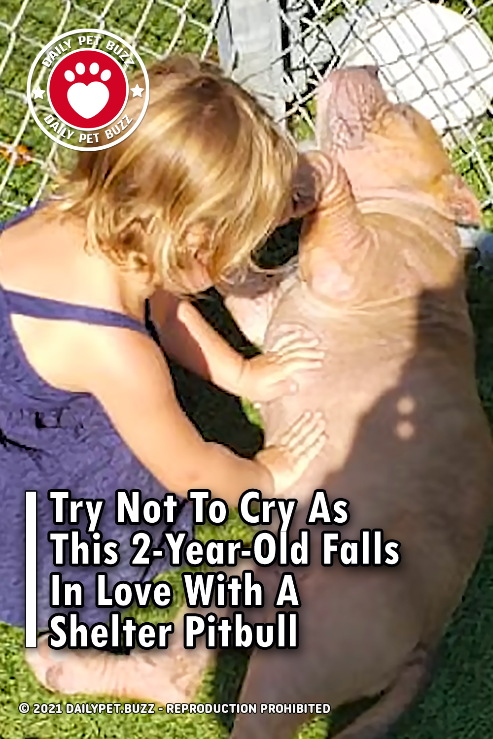 Try Not To Cry As This 2-Year-Old Falls In Love With A Shelter Pitbull