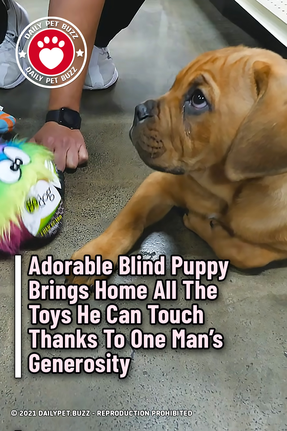 Adorable Blind Puppy Brings Home All The Toys He Can Touch Thanks To One Man’s Generosity