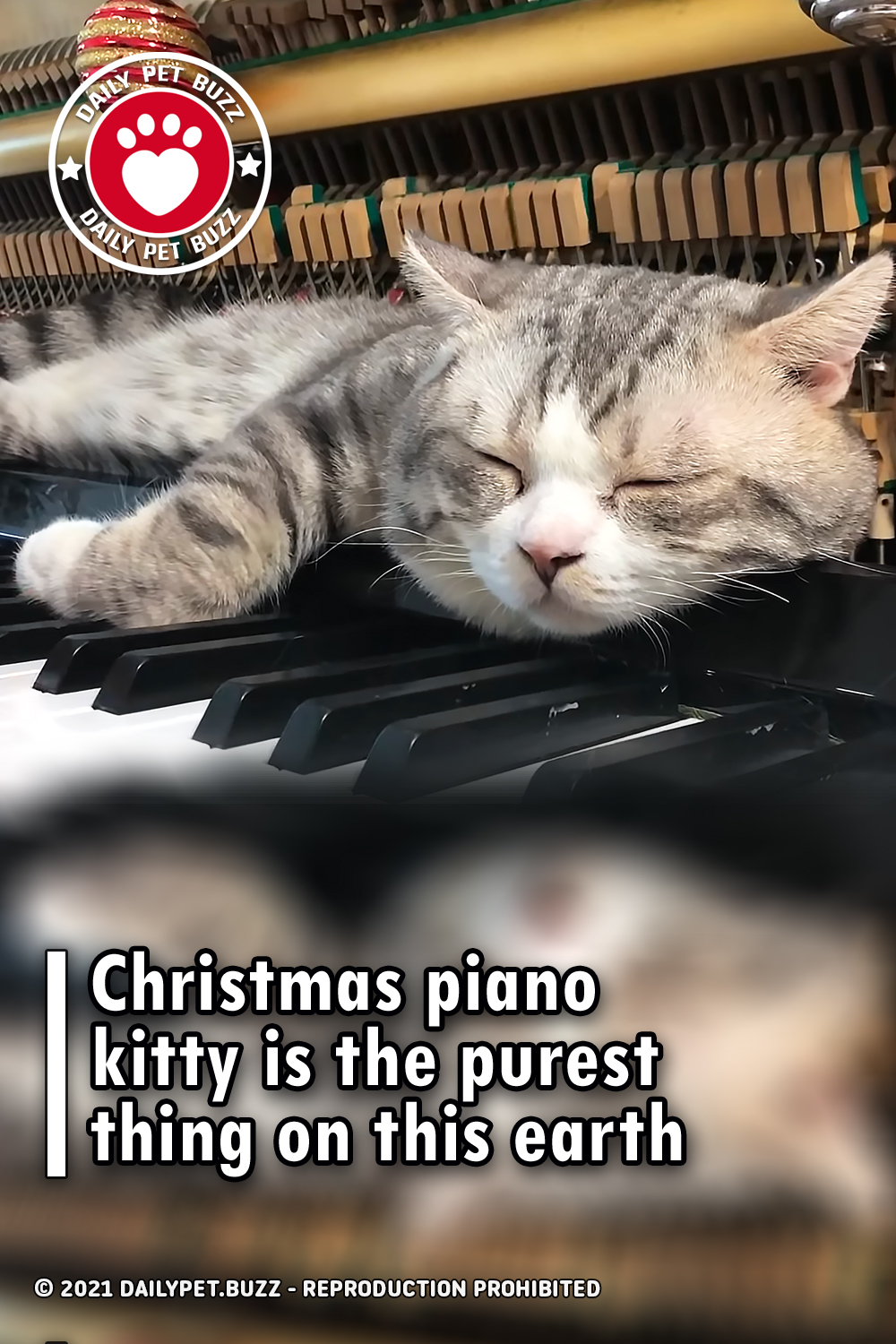 Christmas piano kitty is the purest thing on this earth