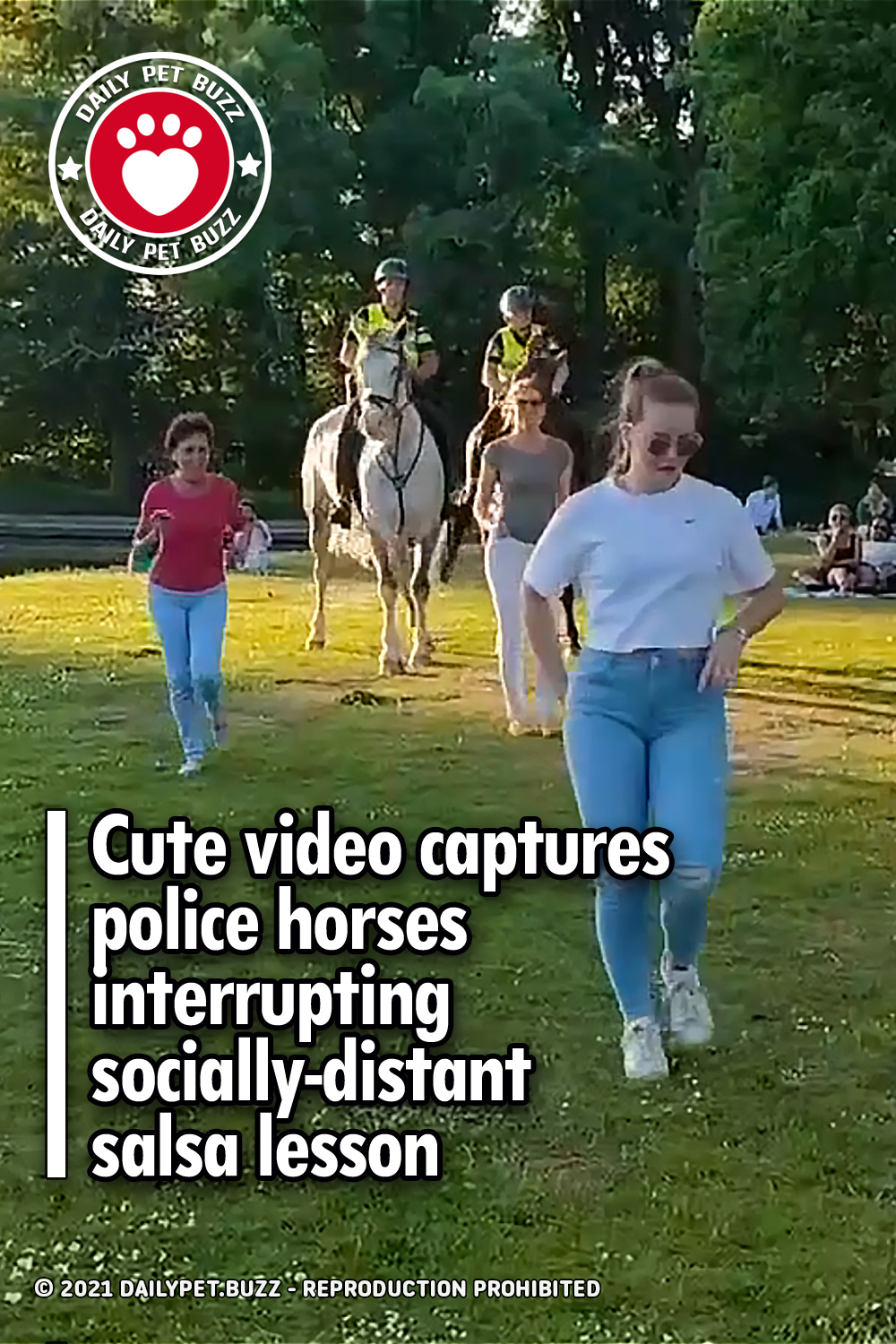 Cute video captures police horses interrupting socially-distant salsa lesson