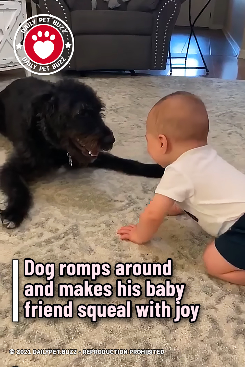 Dog romps around and makes his baby friend squeal with joy