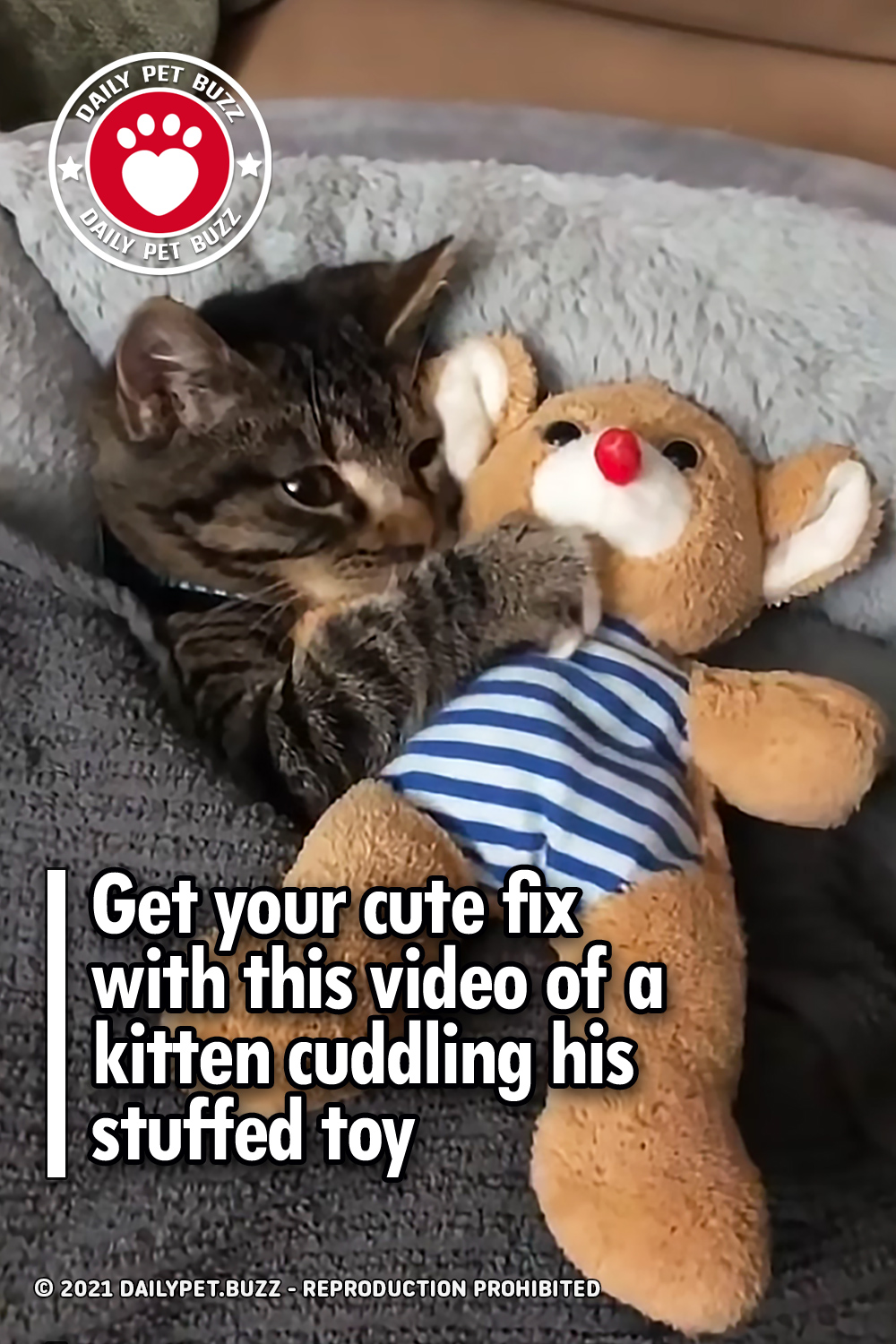Get your cute fix with this video of a kitten cuddling his stuffed toy