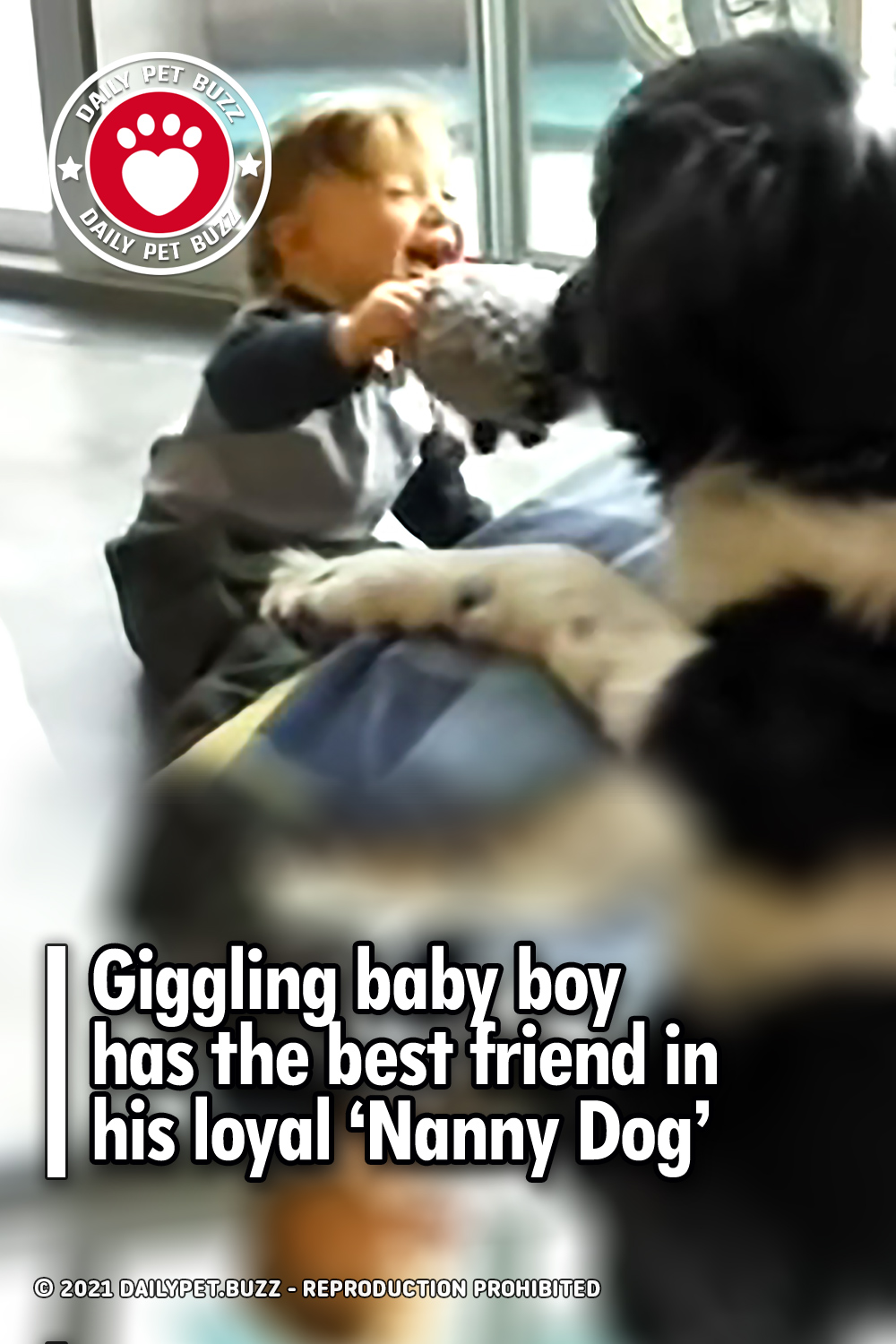 Giggling baby boy has the best friend in his loyal ‘Nanny Dog’