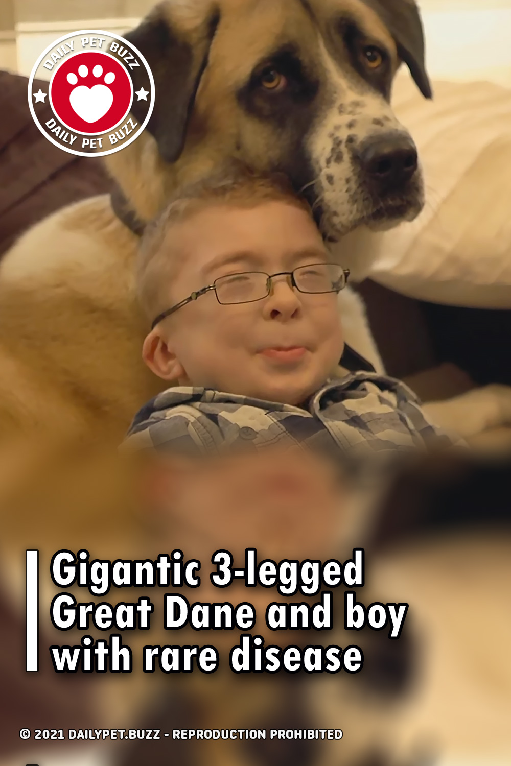 Gigantic 3-legged Great Dane and boy with rare disease