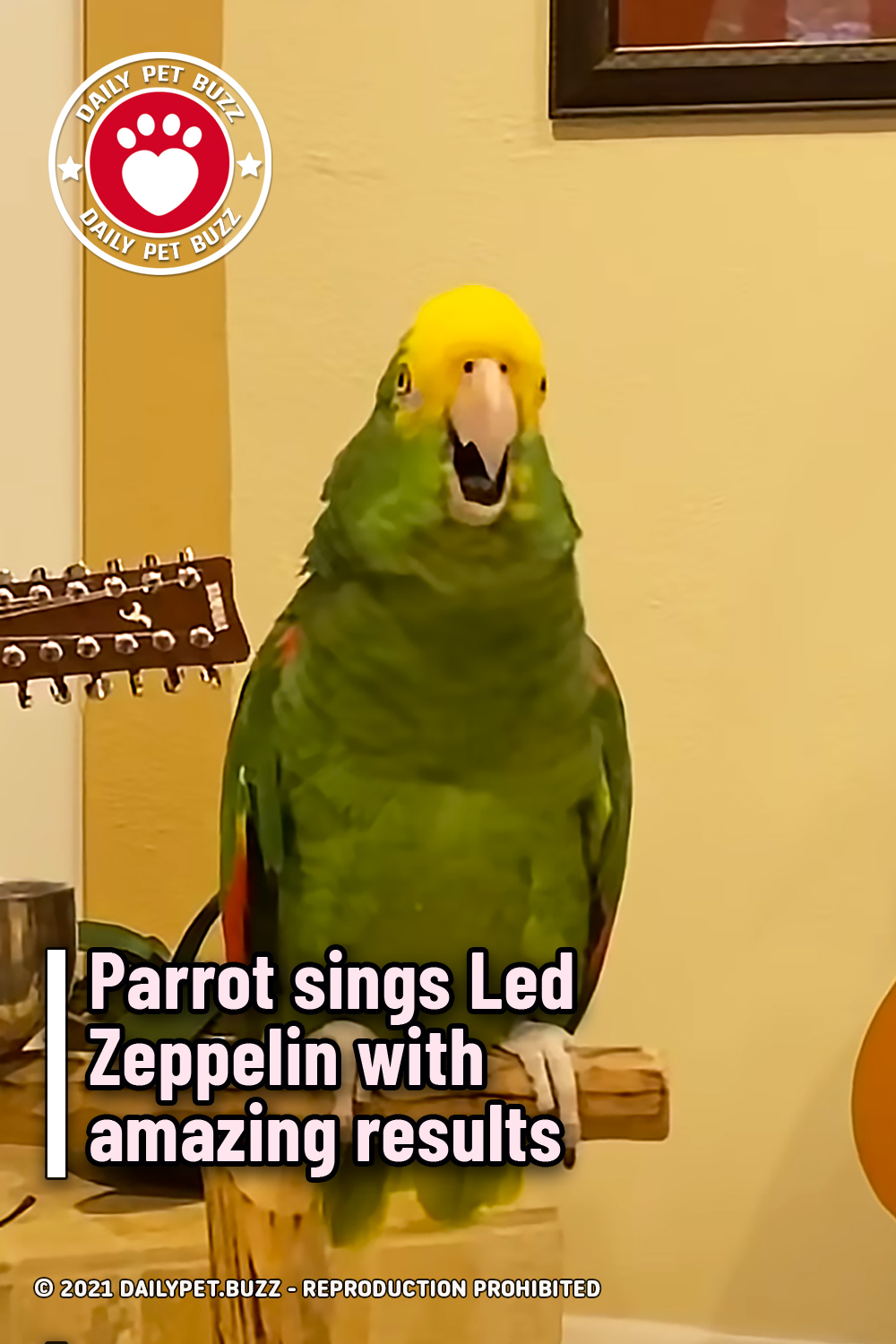 Parrot sings Led Zeppelin with amazing results