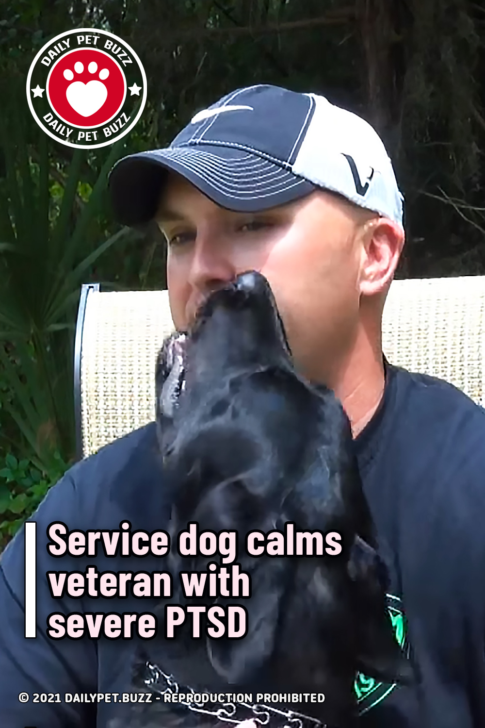 Service dog calms veteran with severe PTSD