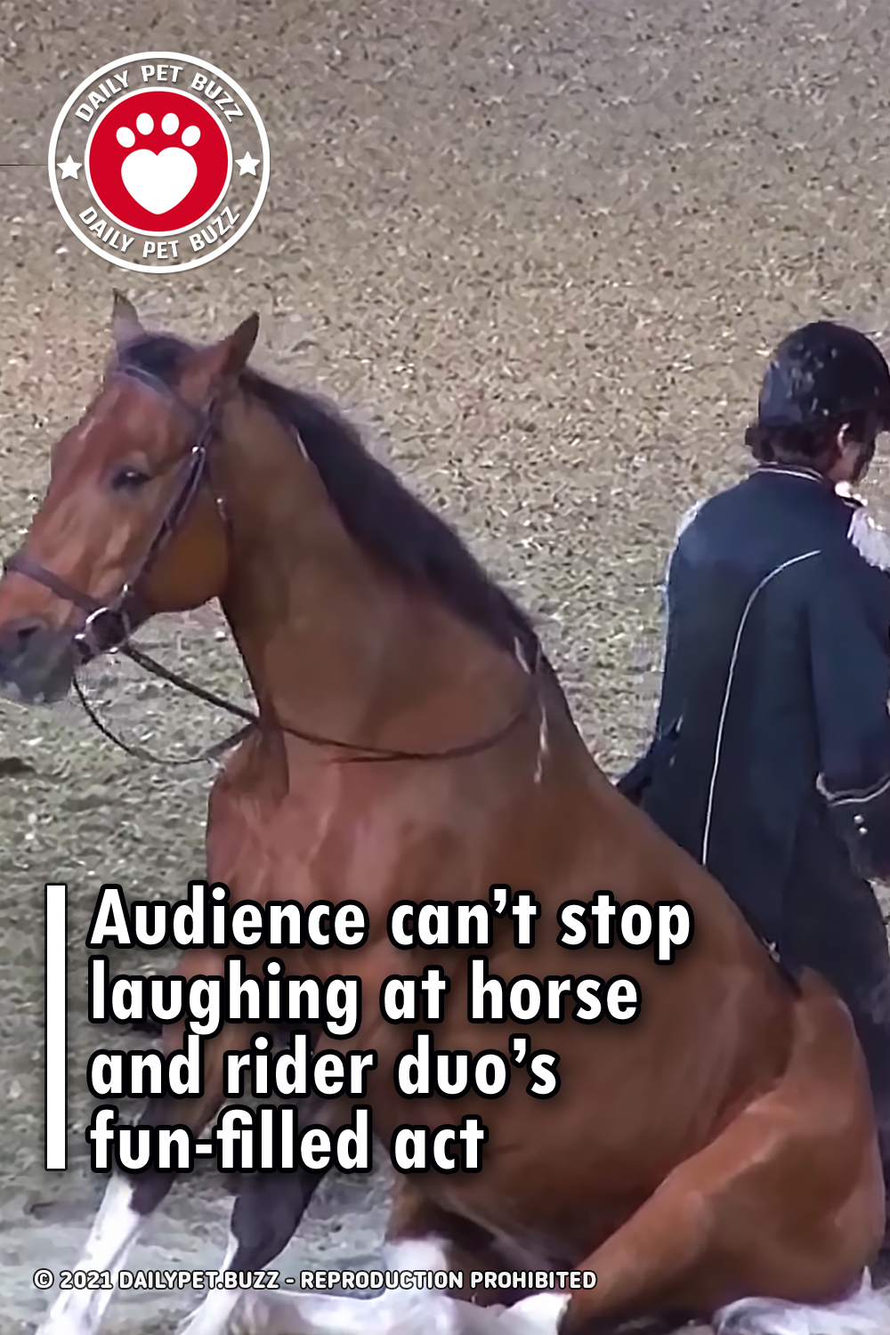 Audience can’t stop laughing at horse and rider duo’s fun-filled act