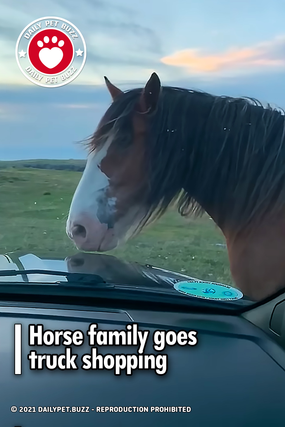 Horse family goes truck shopping
