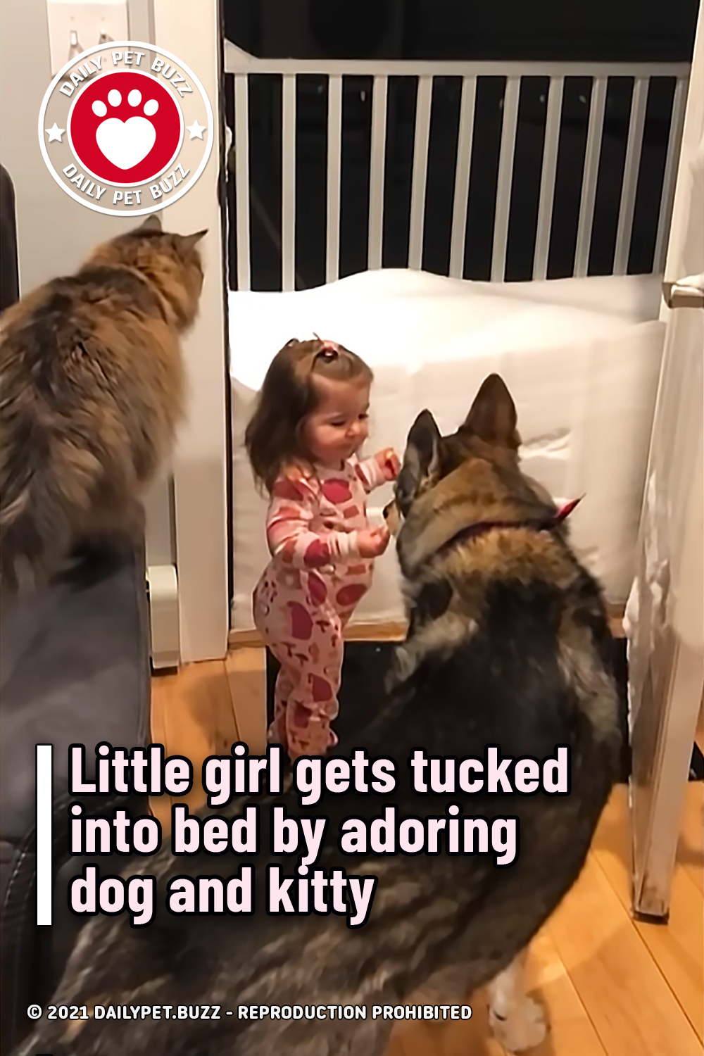 Little girl gets tucked into bed by adoring dog and kitty