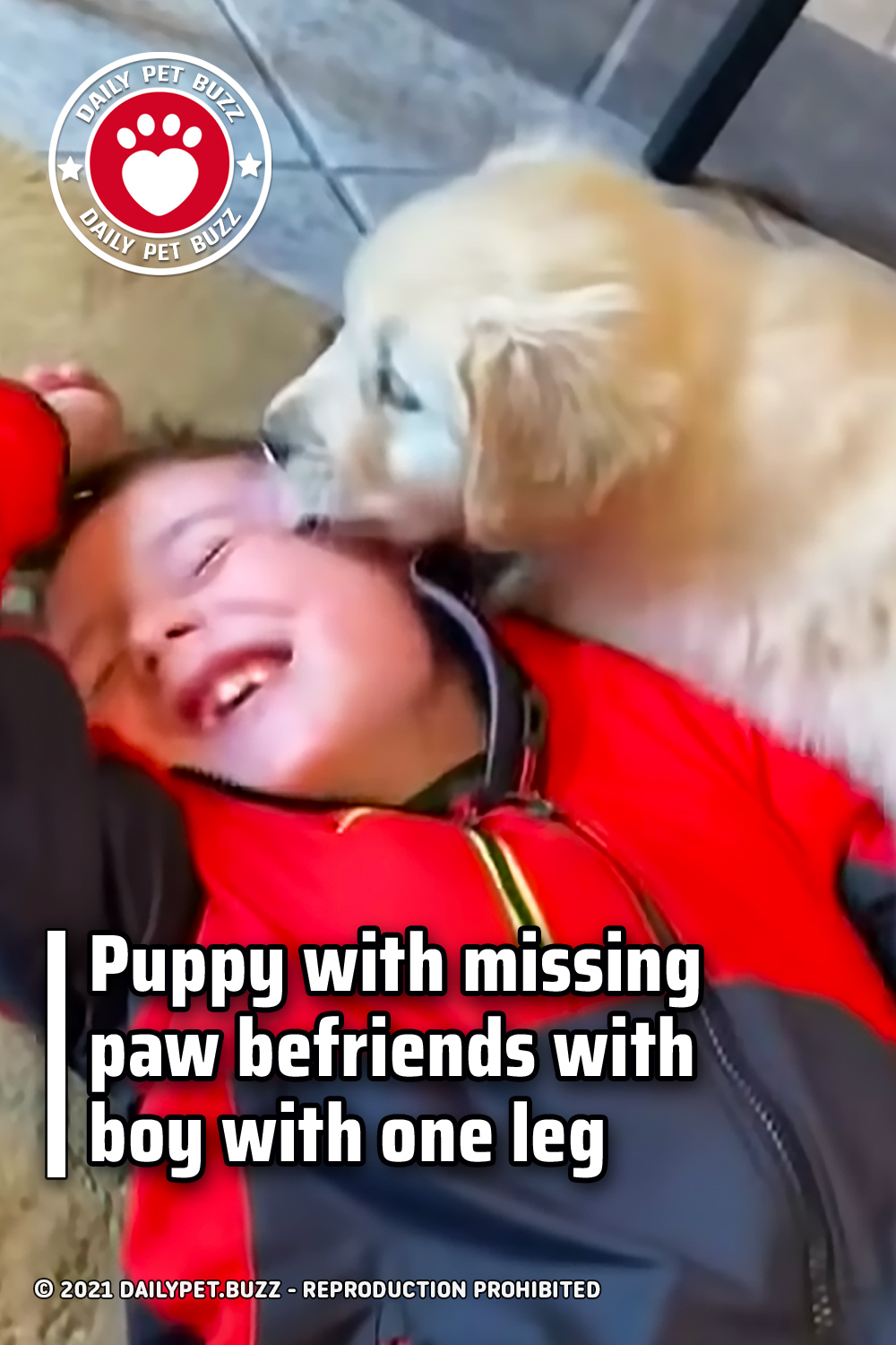 Puppy with missing paw befriends with boy with one leg