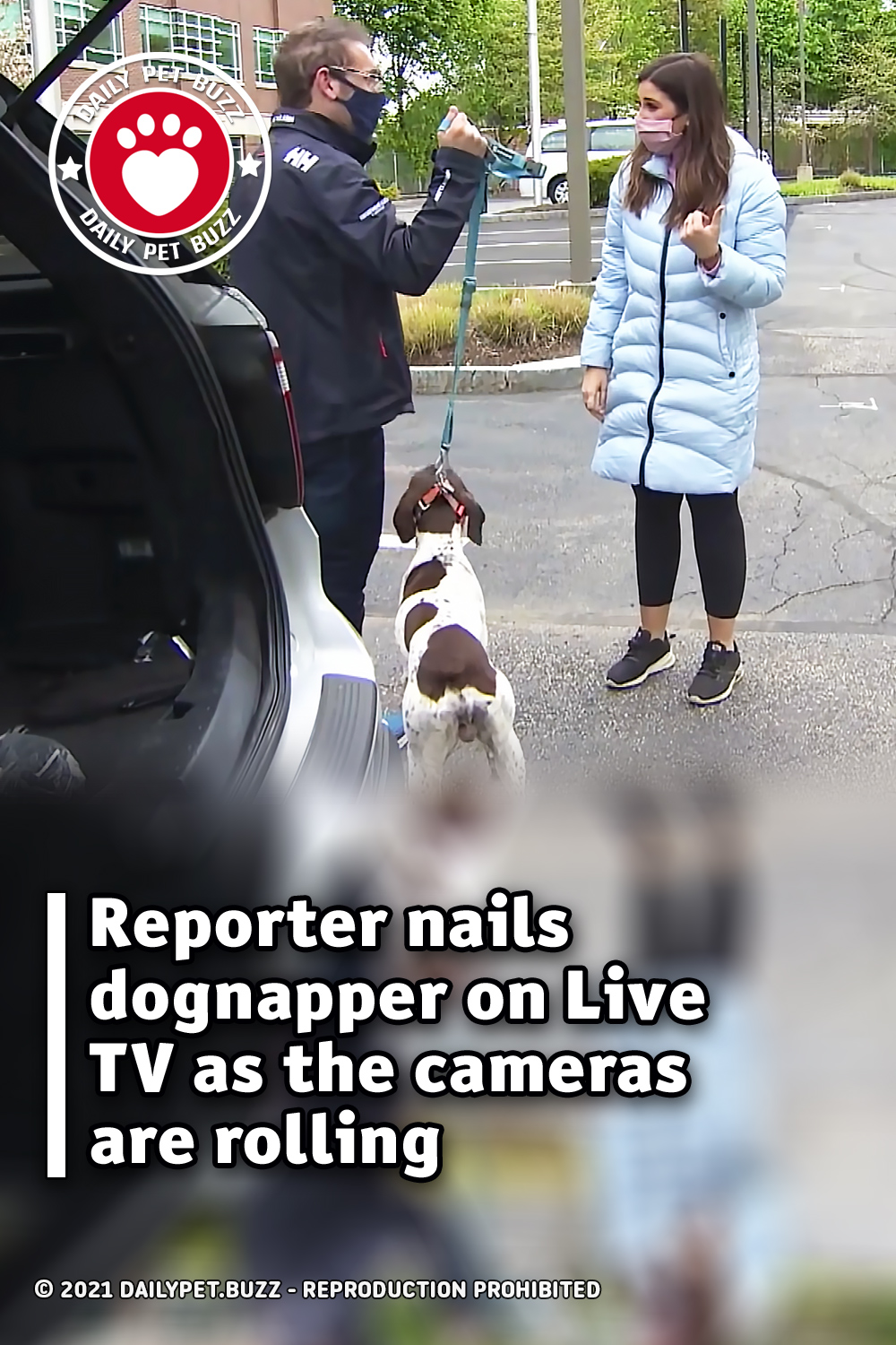 Reporter nails dognapper on Live TV as the cameras are rolling