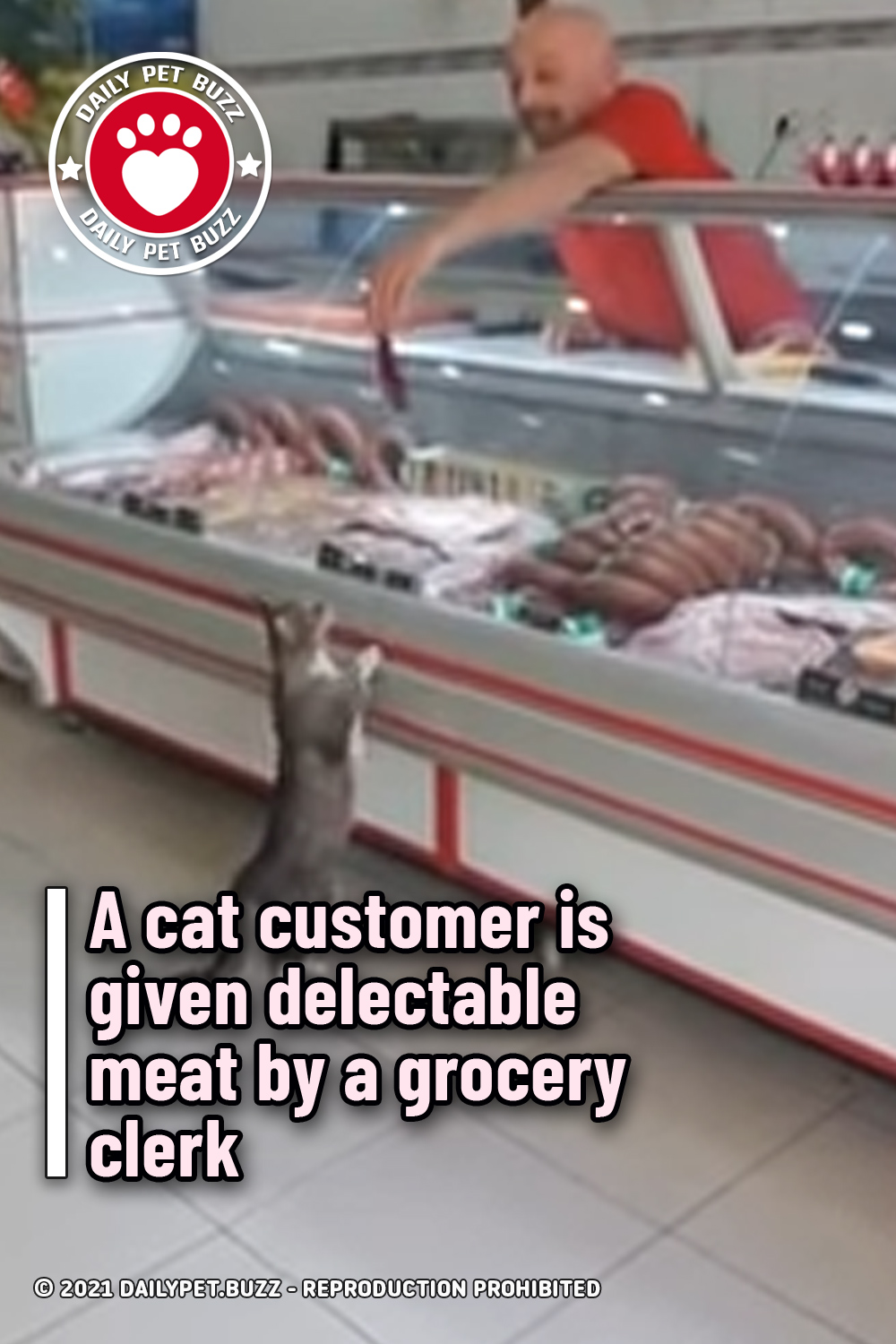A cat customer is given delectable meat by a grocery clerk