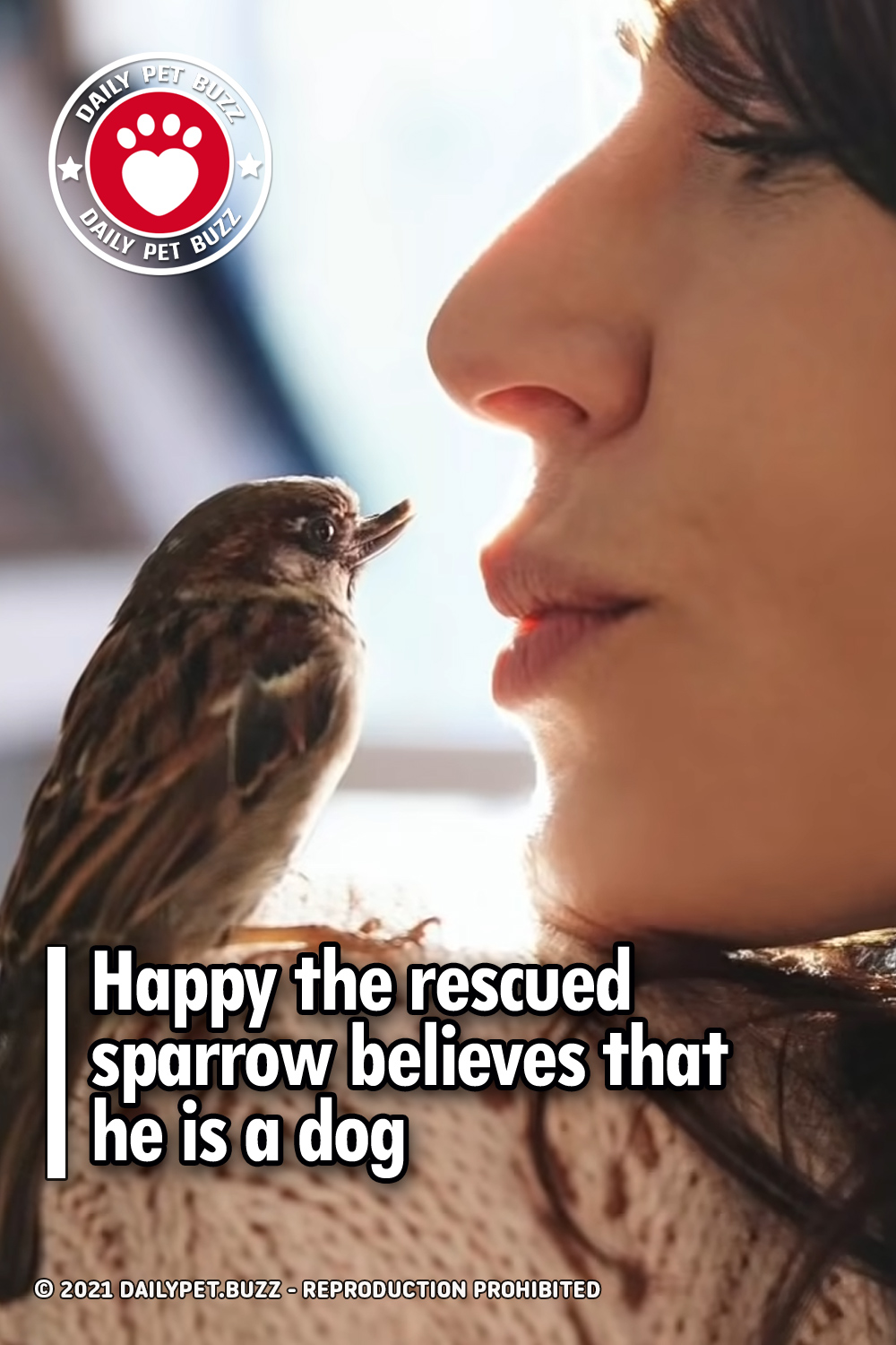 Happy the rescued sparrow believes that he is a dog