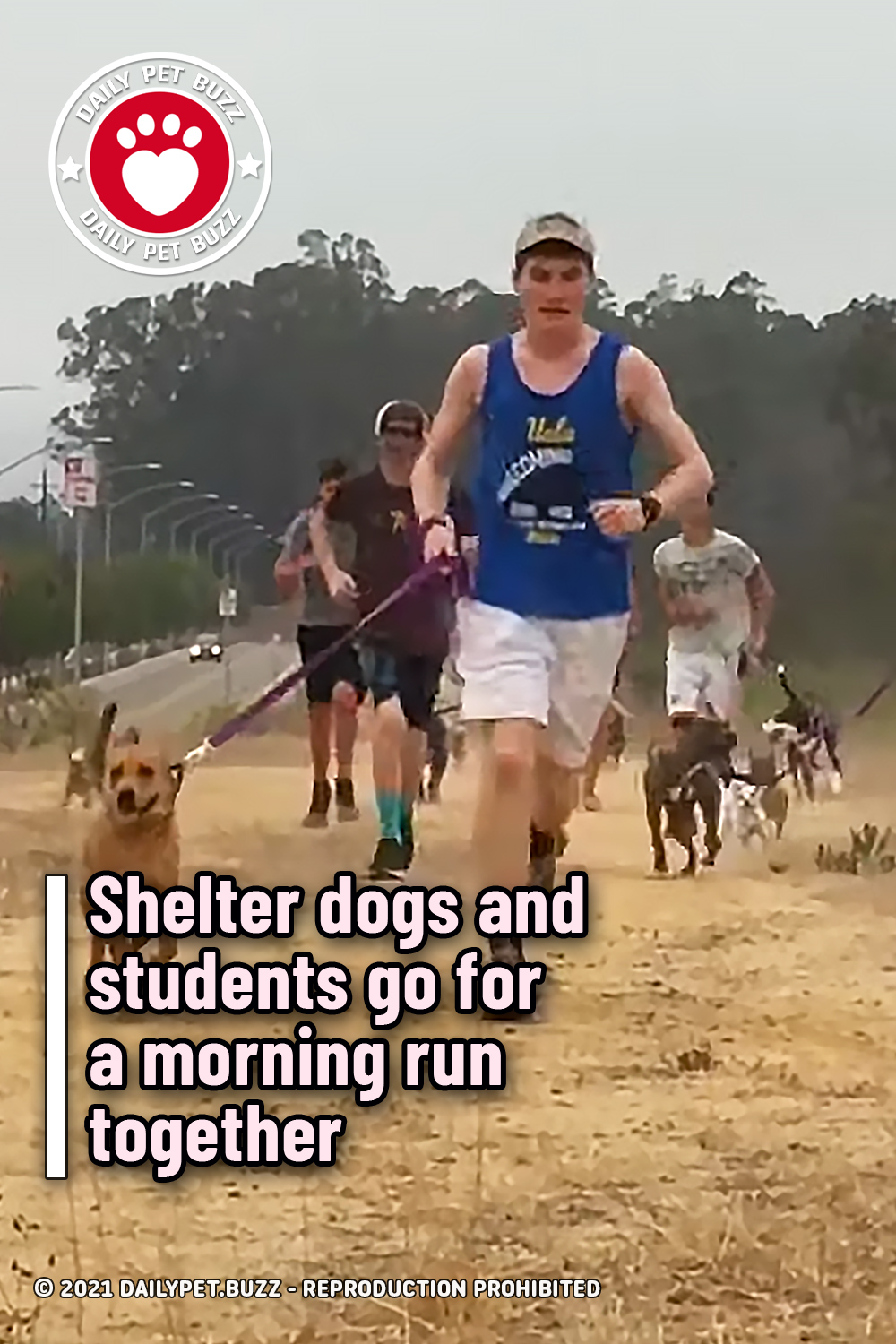 Shelter dogs and students go for a morning run together