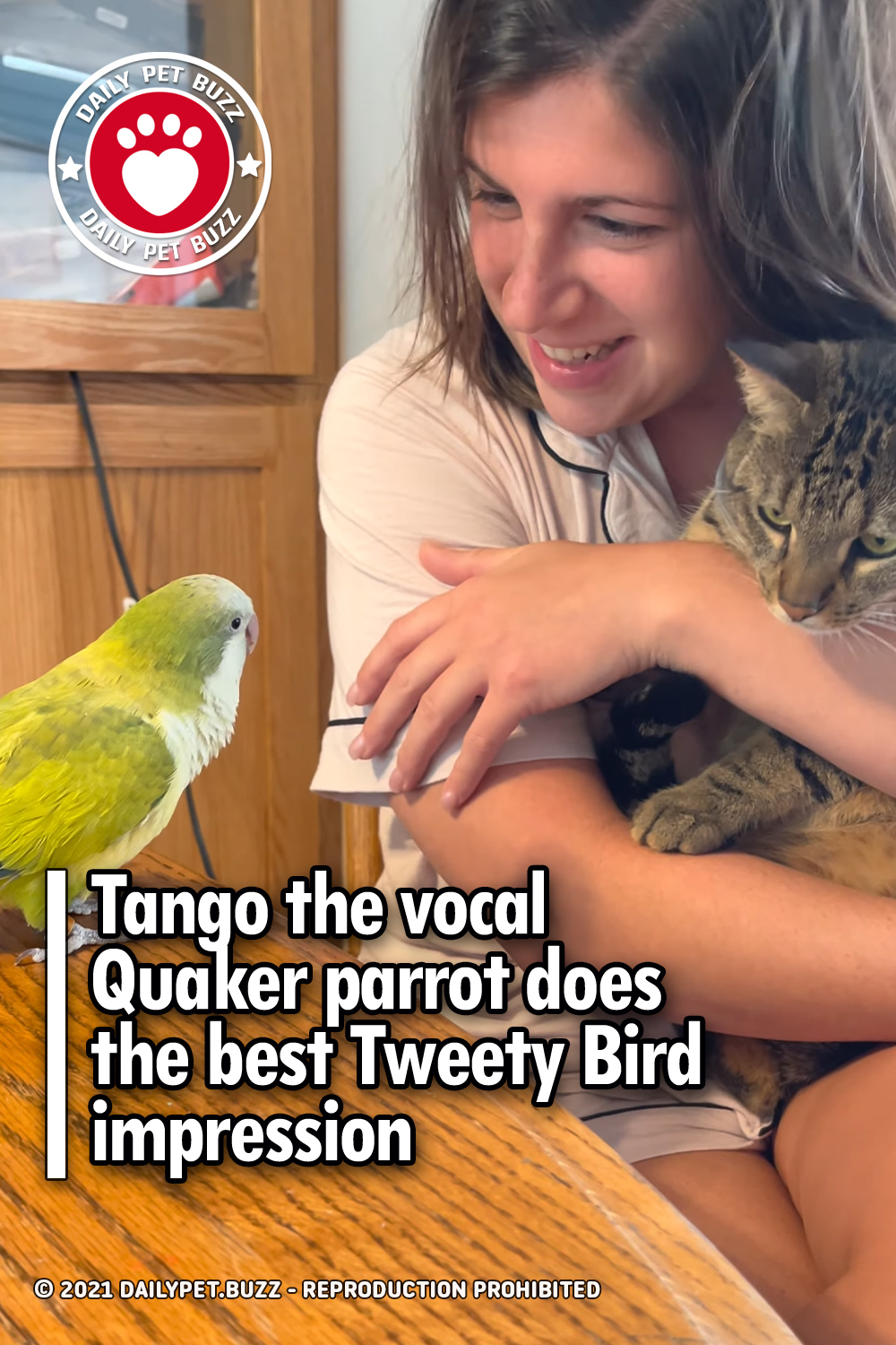Tango the vocal Quaker parrot does the best Tweety Bird impression