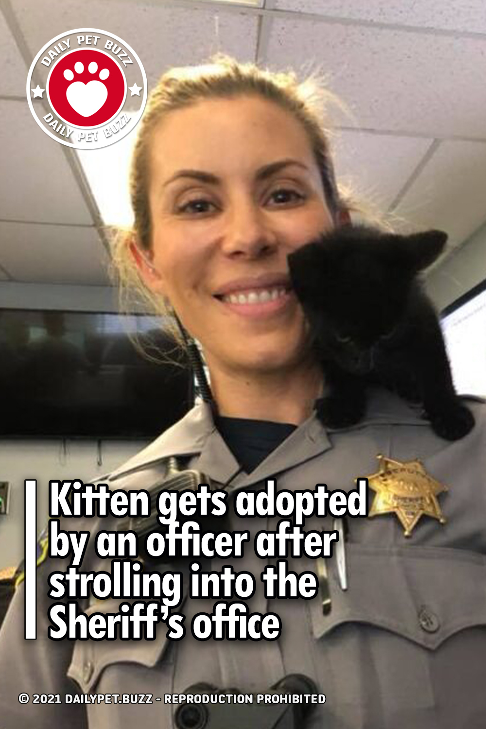 Kitten gets adopted by an officer after strolling into the Sheriff’s office