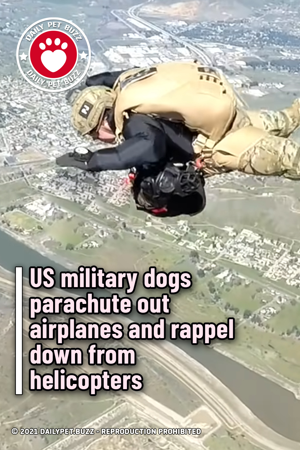 US military dogs parachute out airplanes and rappel down from helicopters