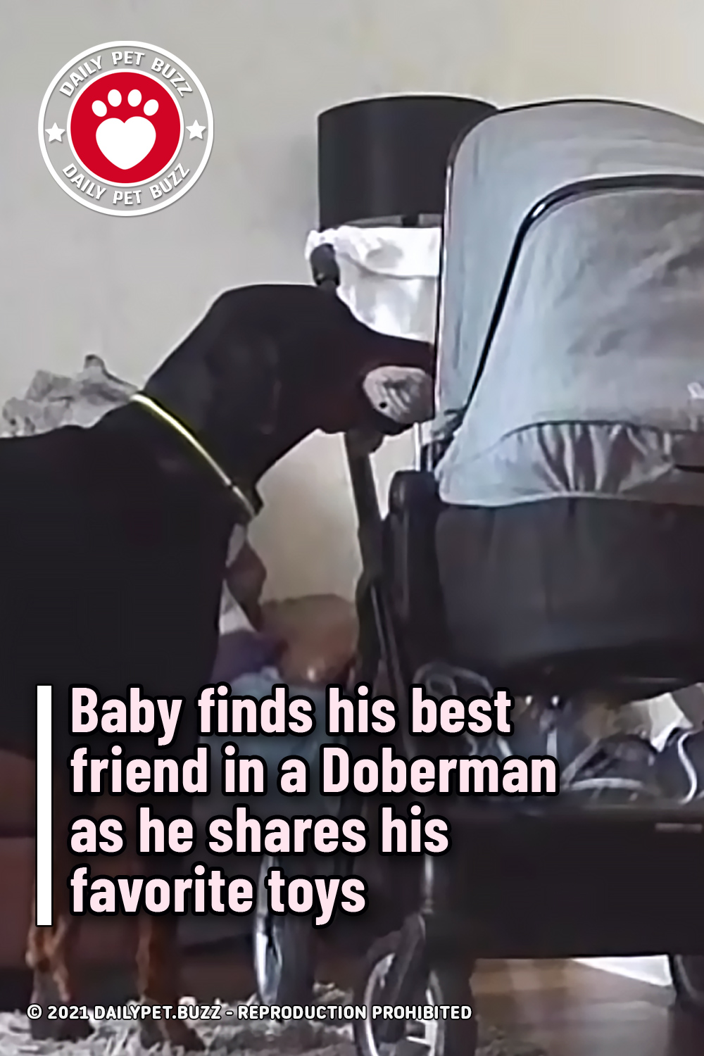 Baby finds his best friend in a Doberman as he shares his favorite toys