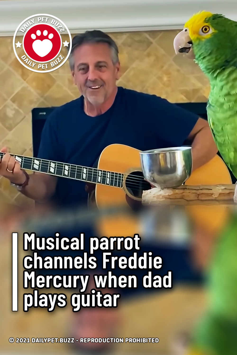Musical parrot channels Freddie Mercury when dad plays guitar