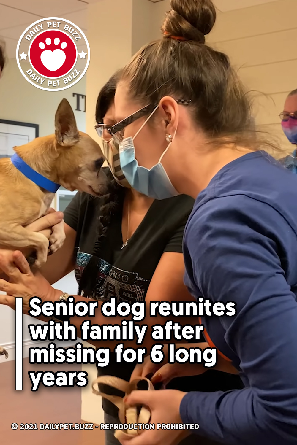 Senior dog reunites with family after missing for 6 long years