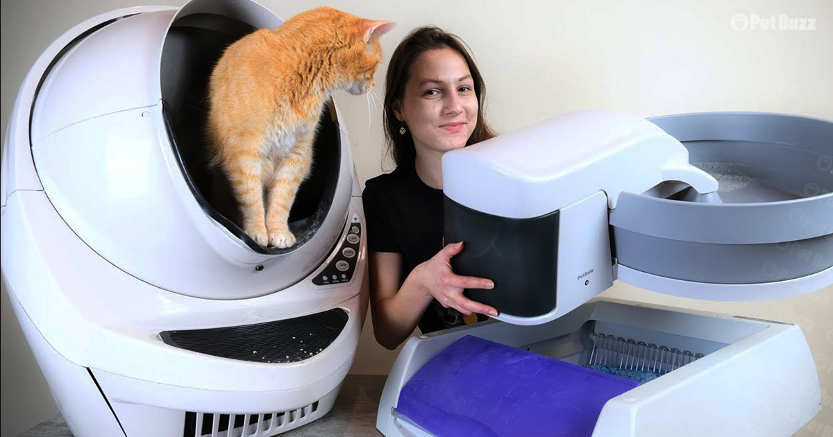 Automatic litter boxes for cat