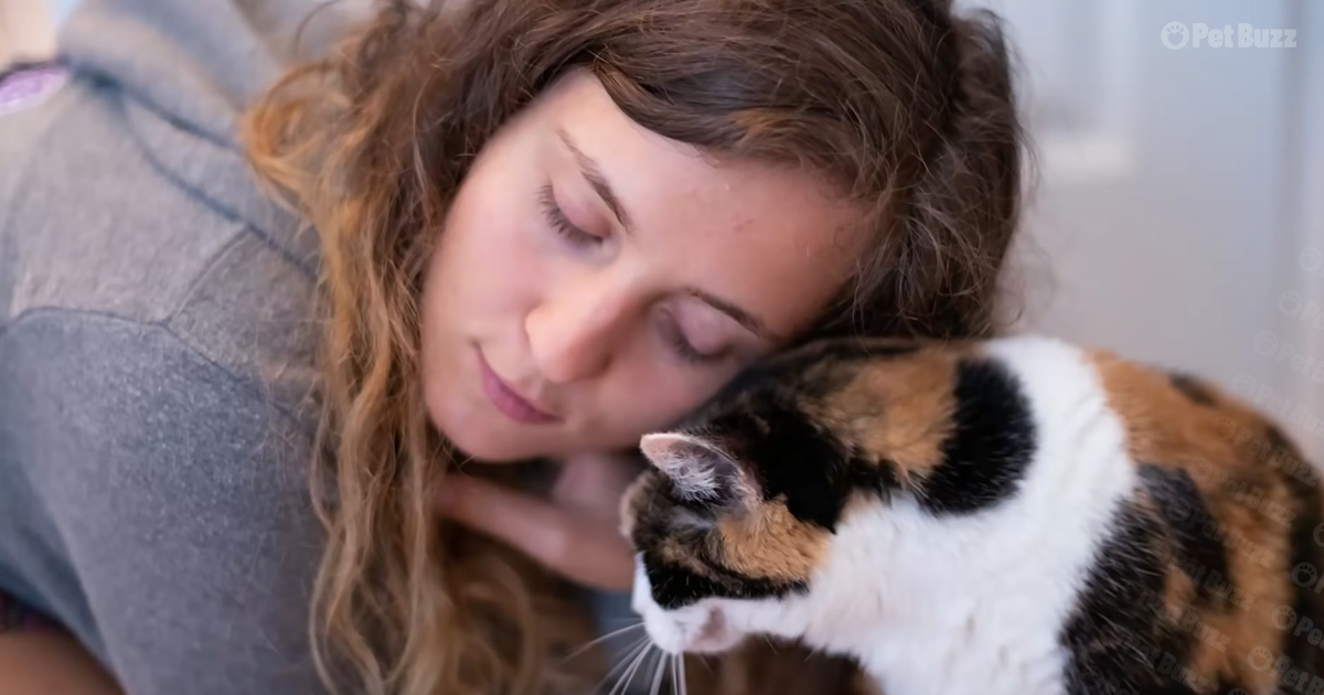 Cat with her owner